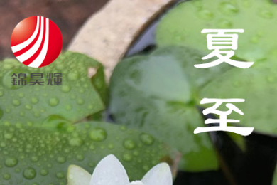 夏至芳菲，满目繁花。