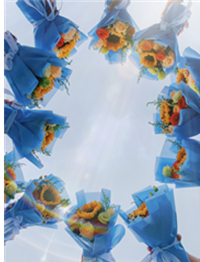 春风十里，芳华如你。